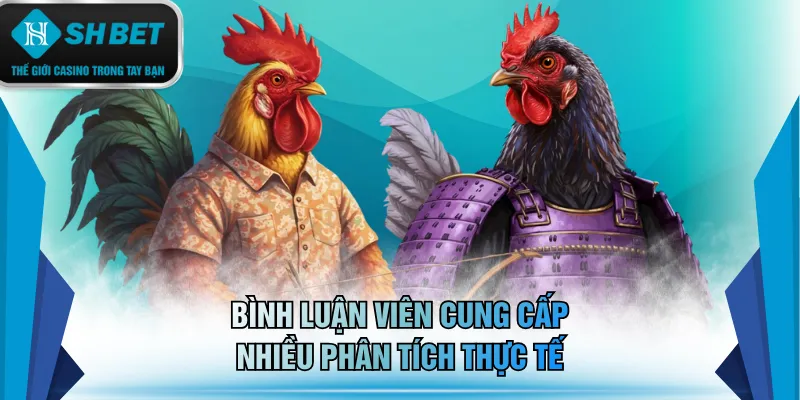 Bình luận viên cung cấp nhiều phân tích thực tế