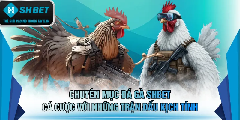 Chuyên mục đá gà SHBET cá cược với những trận đấu kịch tính