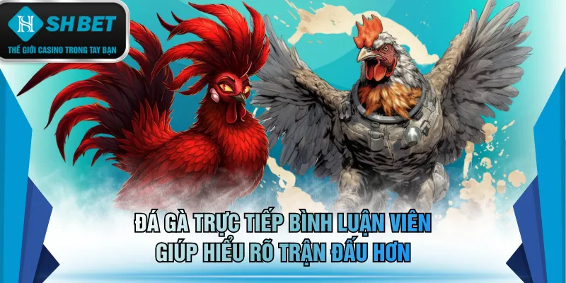 Đá gà trực tiếp bình luận viên giúp hiểu rõ trận đấu hơn